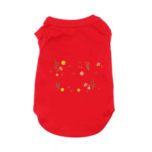 [XZVGJ] ybg ̕ TVc Ȑ ^Ngbv ybgEFA  킢 ^ ^ Ȃ ʋC t H _炩  XS Vc L  킢 Eѕی ƒ U