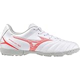 Mizuno