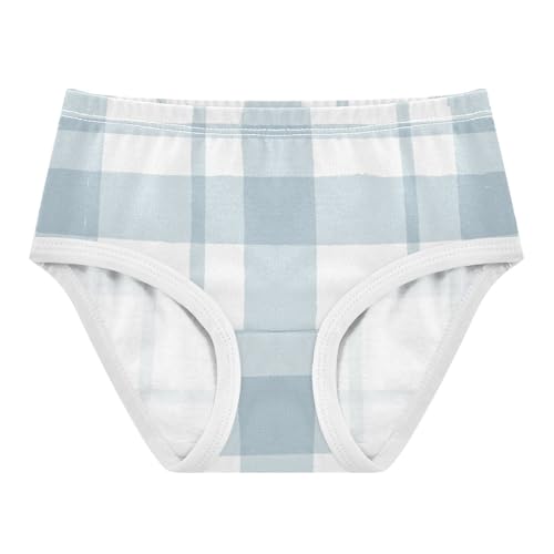 Hipster Panties All Seasons Panties Comfort Underwear for Baby Girls in Sizes 2T,3T, 4T, 5T, 6Y and 8Y
