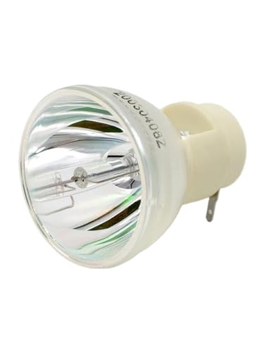 Ampoule P-VIP 230W 0.8 E20.8 pour corriger le scintillement de lampe de projecteur