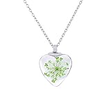 ♛Material:Legierung + glas + natürliche getrocknete blume; Kettenlänge: 45cm