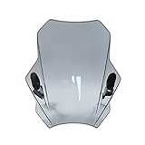 EJUOYO Parabrisas Ajuste para C&an-Am R&yker 600 2019 Ajuste para C&an A&m R&yker 900 Rally Edition 900cc 600cc Parabrisas de Motocicleta Deflector Cupula Moto(Light Grey)