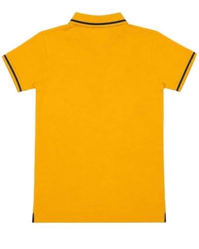Image of Cloth Theory Boys Solid Polo T-Shirt | Cotton Half Sleeve Polo Neck Tee | Regular Fit Casual Shirt for Kids | Comfortable Everyday & Summer Wear | 2-3 to 15-16 Years