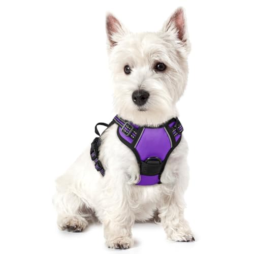 Image of rabbitgoo Dog Harness No Pull with 2 Leash Clips, Adjustable Soft Padded, Reflective Oxford No Choke Pet Vest with Easy Control Handle for Puppy, Purple,XS