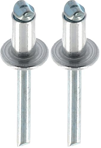 Restagraf - Rivet Tête Large Aluminium & Tige Acier - Compatible avec Citroën, DS, Fiat, Opel, Peugeot, Toyota - Diamètre 6,4 mm - Longueur 12 mm - Réf. 12952 - Sachet de 15 (Lot de 2)
