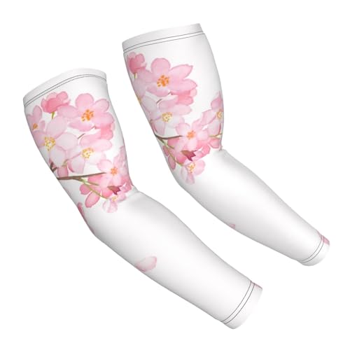 Chioee A[Jo[ uvJbg a  ʉ Ԃт  TN ⊴ rJo[ Ђ O A[X[u ʋC Lk X|[c  Ăh~ Y fB[X O΍  EghA X|[c ނ ^] ]ԗp j