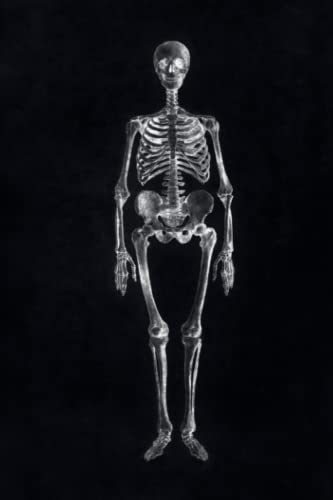 Journal: Vintage Art - “Human Skeleton, Anterior View” by Charles Dessalines: Vintage Artwork - Journal, Notebook, Diary...