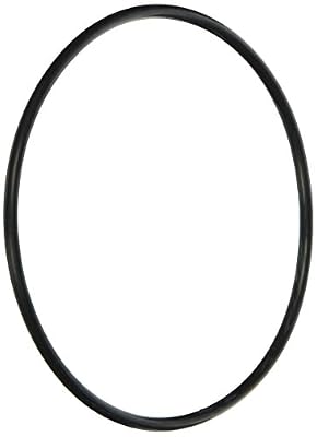Jandy Genuine Parts Energy Filter O Ring Kit Replacement Kit, R0374500