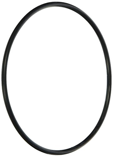 Jandy Genuine Parts Energy Filter O Ring Kit Replacement Kit, R0374500