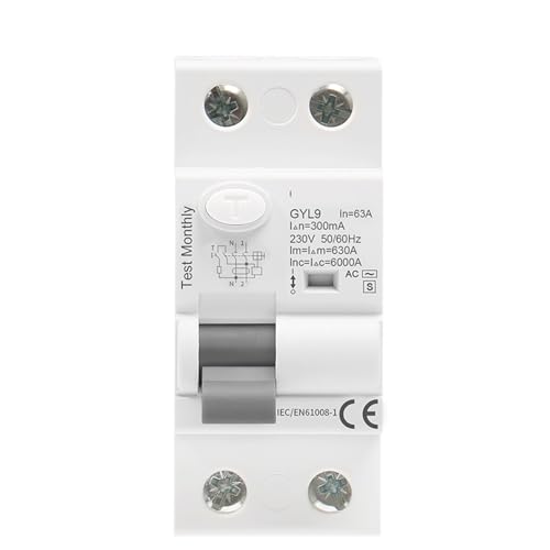 RCD RCCB GYL9 AC-S Type Temporisé Électromagnétique 4P 63A 100mA Disjoncteur Haute Performance