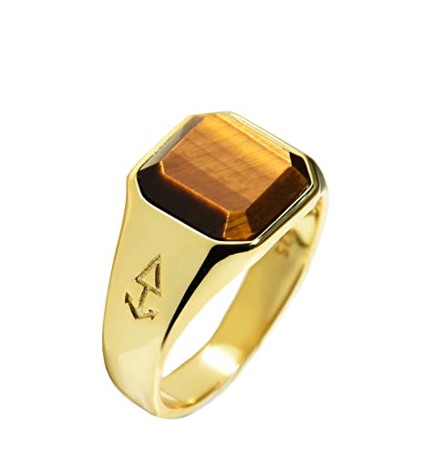 Rock and Steel Herren Ring Horus Gold Siegelring mit Tigerauge Stein aus 925 Sterling Silber 18K Vergoldet (63 (20.1 mm)) Cover