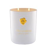 M&SENSE 470g Duftkerze Groß|Cremige Vanille-Torte Duftkerzen im Glas|Natürliche Sojawachs Scented Candle|Entspannende Aromatherapie |Geschenk für Frauen & Männer,Muttertag| 90h Brenndauer & 2 Docht