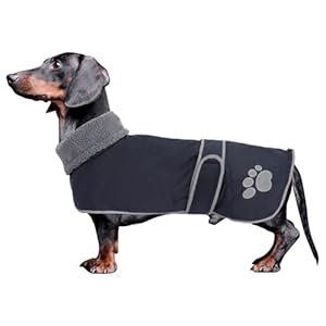 Dog Winter Coat Thermal Quilted Dachshund Coat,with warm flannel Lining,Geyecete waterproof Outdoor Dog Apparel with Adjustable Bands for Small,Medium,Large Dog-Navy-M