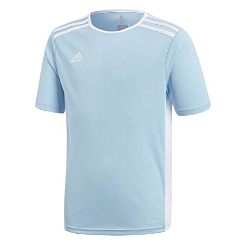 adidas Youth Entrada 18 Jersey, Clear Blue/White, Large Amazon price