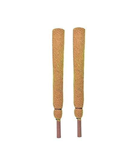 Superiozone Coco Pole 2 ft Moss and Coir Stick for Money Plant Support, Indoor Plants, House Plants and Plant Creepers - 2 Pieces (2 FEET) (B0D72LTY4H) Amazon Price History, Amazon Price Tracker
