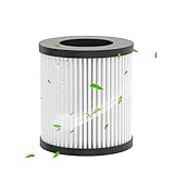 QUEENTY Repuesto de filtro purificador de aire para coche F011