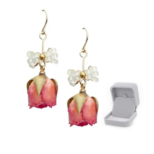 Nobuwile sAX fB[X CO  AM[Ή hCt[ lCVv h lCO  Vo[ ỏ VR  o^Cf[