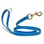 Cerulean Blue