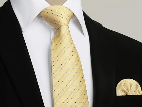 Image of Enlision Ties for Men Plaid Stripe Tie Handkerchief Woven Classic Formal Necktie Pocket Square Clip Set