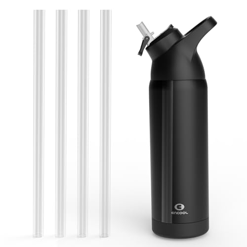 4-Pack Replacement Straws Compatible with ENCOOL 24oz Water Bottle