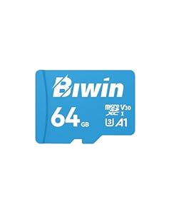 Biwin MS100 MicroSDXC UHS-I Speicherkarte 64GB - Lesen bis zu 100MB/s - A1 V30 U3 4K UHD Videos für Videoaufnahmen von Smartphones/Tablets/Digital... Canon Sony