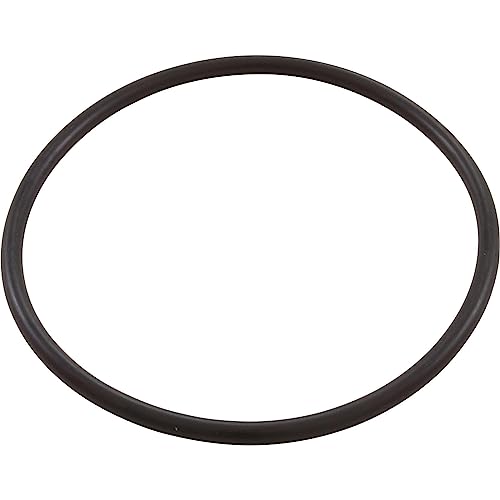 Pentair 350013 Lid O-Ring, Challenger (All), WFE (After 11/98)