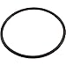 Pentair 350013 Lid O-Ring Replacement Pool and Spa Pump
