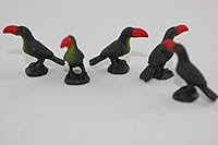 Algopix Similar Product 19 - Safari Tucanes Animals Multicoloured