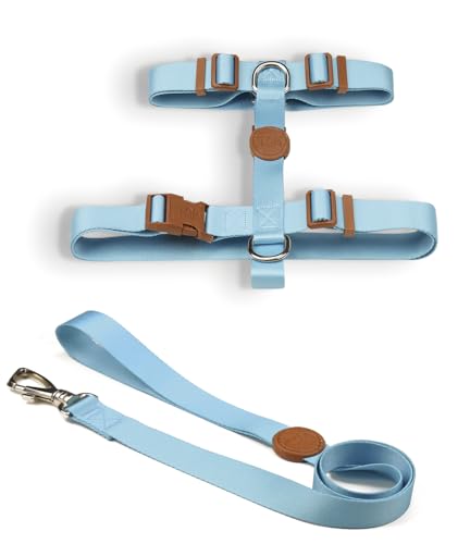 Conjunto Peitoral H E Guia PP Azul