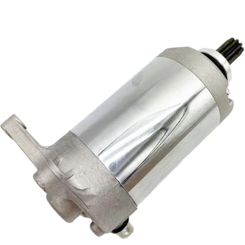 Démarreur pour moteur LF250 250 cm³ idéal pour les sorties tout-terrain