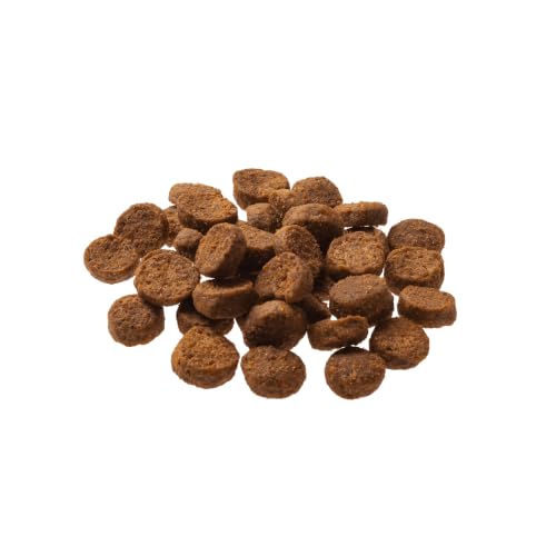 GranataPet Mini Royal Pferd, 1kg, mit Erbsen