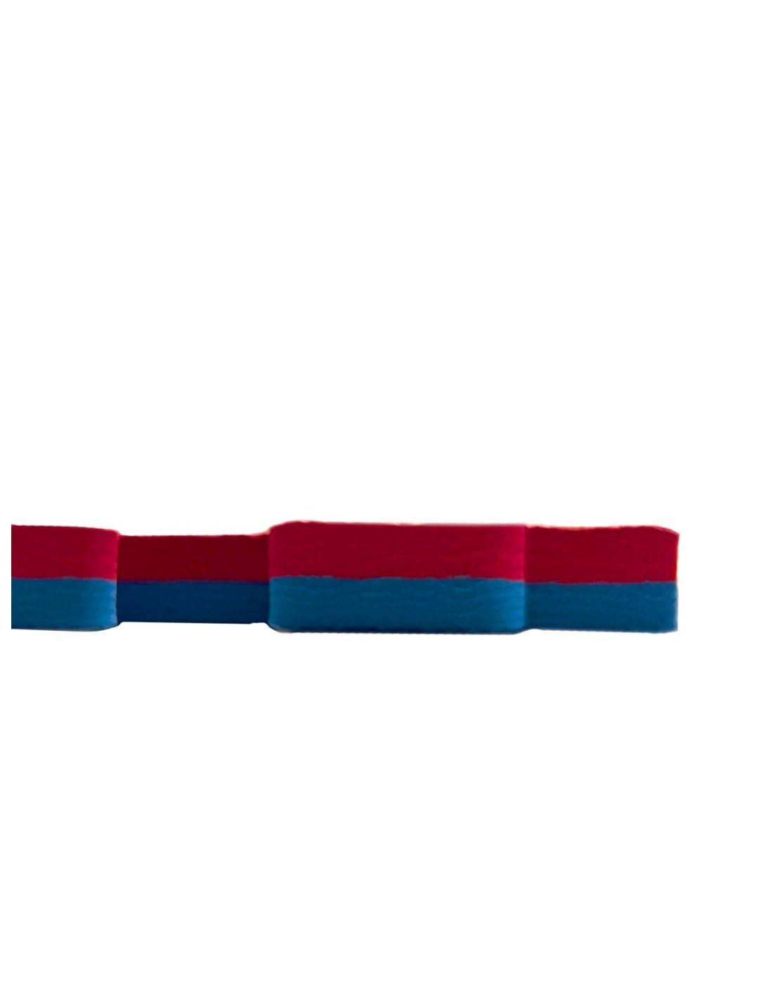JARDIN202 - Tatami Puzzle | Lote x10 loseta - Rojo/Azul | Esterilla Reversible Antideslizante | Artes Marciales, Judo