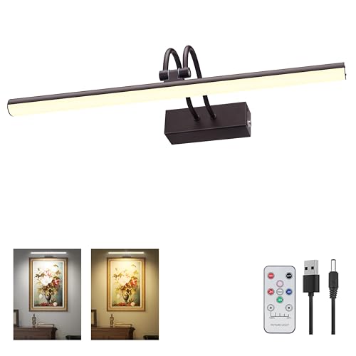 Image of RAIFOOLLY Picture Light, 2 Colors Art Lights for Paintings,16 inch inch Battery Operated Wall Light,Remote Control Painting with Timer and Dimmable for Frame, Portrait, Dartboard (BLACK), RF00300