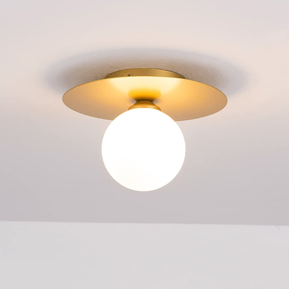 HXYSXHJUO Nordic Living Room Pendant Light With Globe Glass Shade,metal Chandelier Fixture,white Ceiling Fixtures
