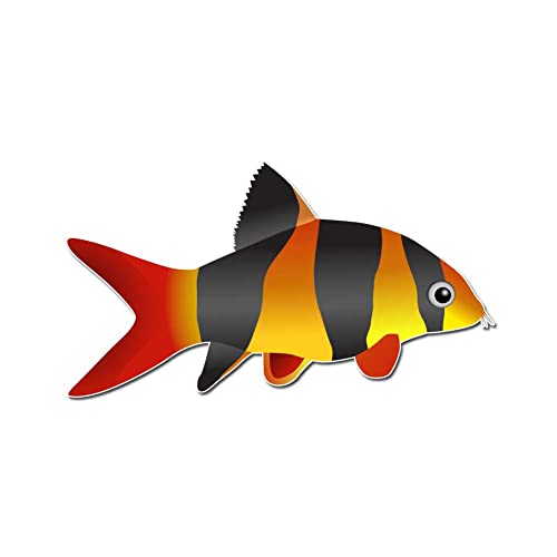 The Clown Loach, or Tiger Botia Aquarium Fish 6 inch Full Color Indoor Outdoor Vinyl Decal