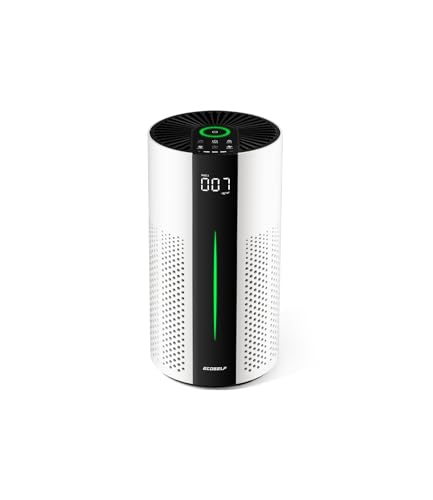 Large Room HEPA Air Purifier with Smart Auto Mode
