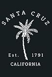 palmasola santa cruz video  Retro Cool Vintage Santa Cruz Beach California Palm Tree: notebook, notebook journal beautiful , simple, impressive,size 6x9 inches, 114 paperback pages