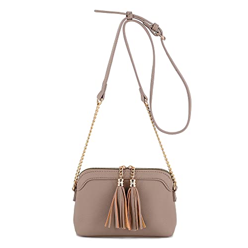 V+BENIE Tassel Small Crossbody Bag with Chain Strap Small Purse Handbags for Women, Taupe