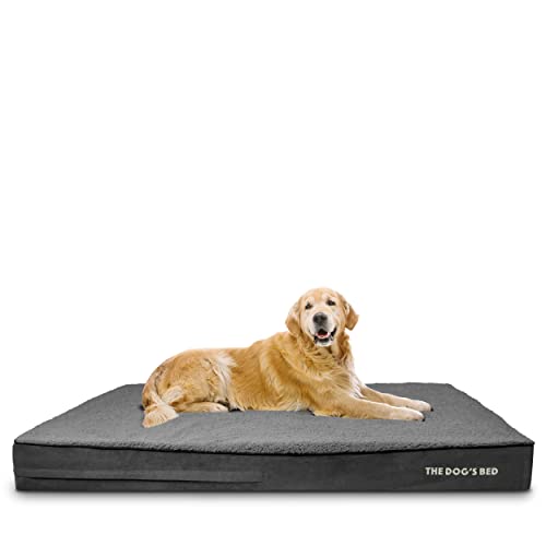 The Dog’s Bed Orthopedic Jumbo Memory Foam Dog Bed, Xxxl Grey Plush 64X44, Pain Relief For Arthritis, Hip & Elbow Dysplasia, Post Surgery, Lameness, Supportive, Waterproof Washable Cover #TOP2