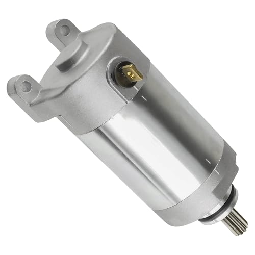Arranque Motor Motor De Arranque para YFM250 para Raptor (2009-2013) YFS250 Tricker XG250 XT250 (2013-2024) Reemplazar 410-54158 19639 3C5-81890-00-00 Motores Arranque