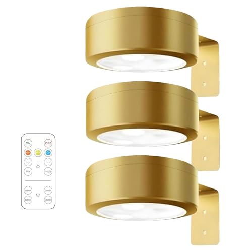 Fiotha 3 Stück Bilderleuchte Kabellos, Bildbeleuchtung Kabellos mit Fernbedienung, LED Malerei Lichts, Bilderrahmen Licht Ohne Bohren, Bild Licht 3 Lichtfarben, Picture Lights for Wall