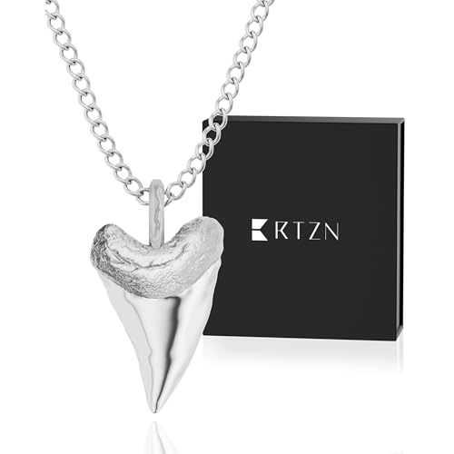 RTZN® Pendant Necklace for Men – Premium Stainless Steel Silver Pendant Necklace with 22