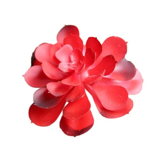 39�X�^�C���̐l�H�����A��,��,��,�Q���̑���,�I�t�B�X�e�[�u��,�~�j�~�̓p�[�e�B�[�p�i�p�̋U�̐A�� Bao Shi Lian