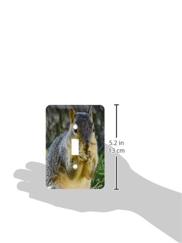 Interrupteur à bascule multicolore avec motif écureuil et levier de 2,5 cm