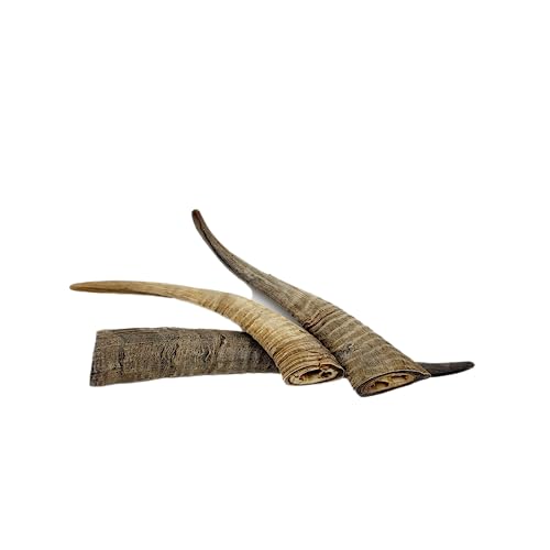 Herders Choice Chews Dried Goat Horns (Small 3 pcs.)