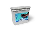 1 kg Astralpool - Dicloro Granulado 55% 1 Kg - Formato Cuadrado