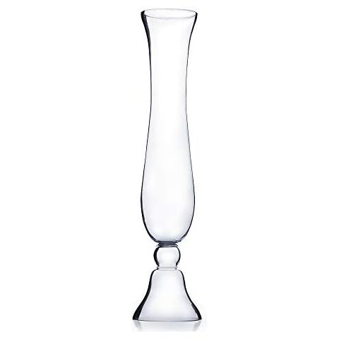 WGV Trumpet Glass Vase, Clear Large Floral Planter Centerpiece Cover