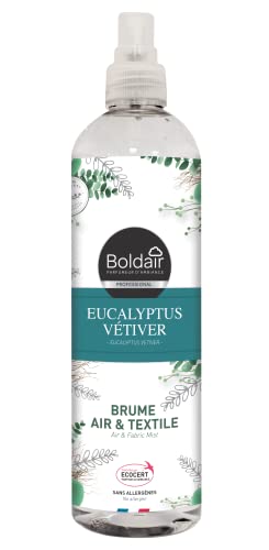 BOLDAIR - BRUME AIR & TEXILE - Parfum 100% naturel - Sans allergènes - Ecocert - Non testés sur les animaux - Parfum Eucalyptus vétiver - 400 ml - Fabrication française