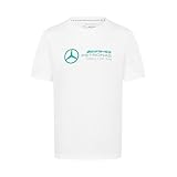 Mercedes AMG Petronas