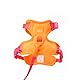 LucyBalu® Explorer Katzengeschirr mit Leine | ausbruchsicheres Katzengeschirr mit AirTag Fach | Katzen Brustgeschirr mit Katzenleine | Sicherheitsgeschirr mit Leine für Katzen | Berry Orange M/L
